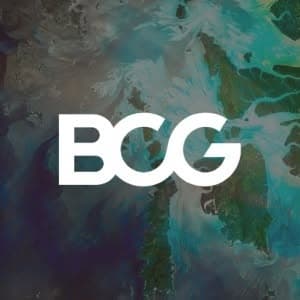 Boston Consulting Group (BCG)