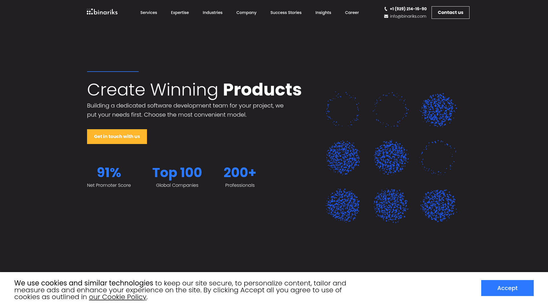 Binariks website screenshot