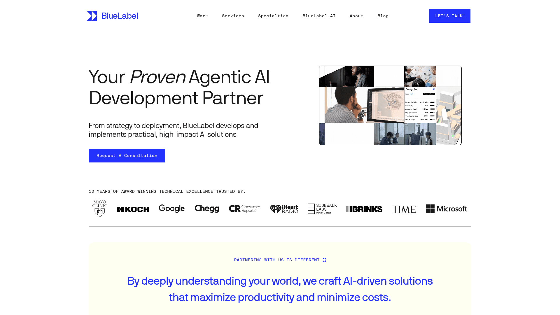 BlueLabel Labs website screenshot
