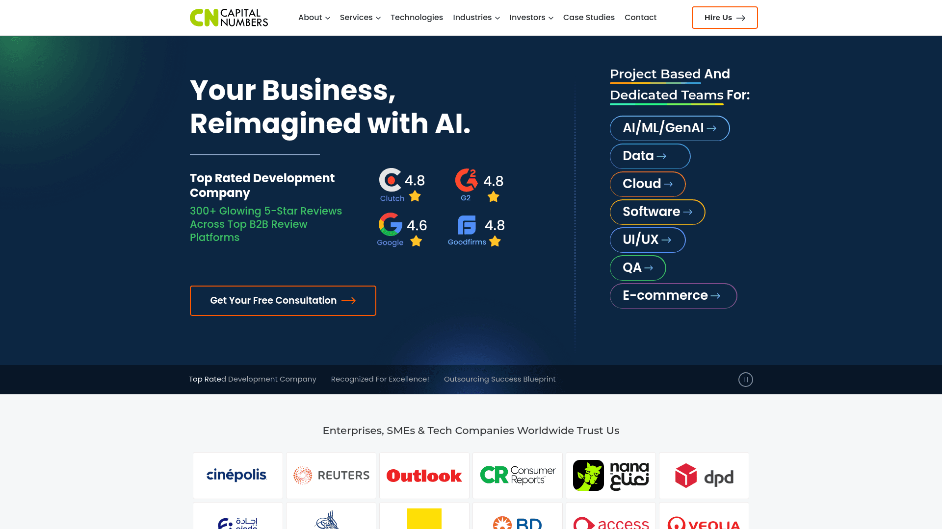 Capital Numbers website screenshot