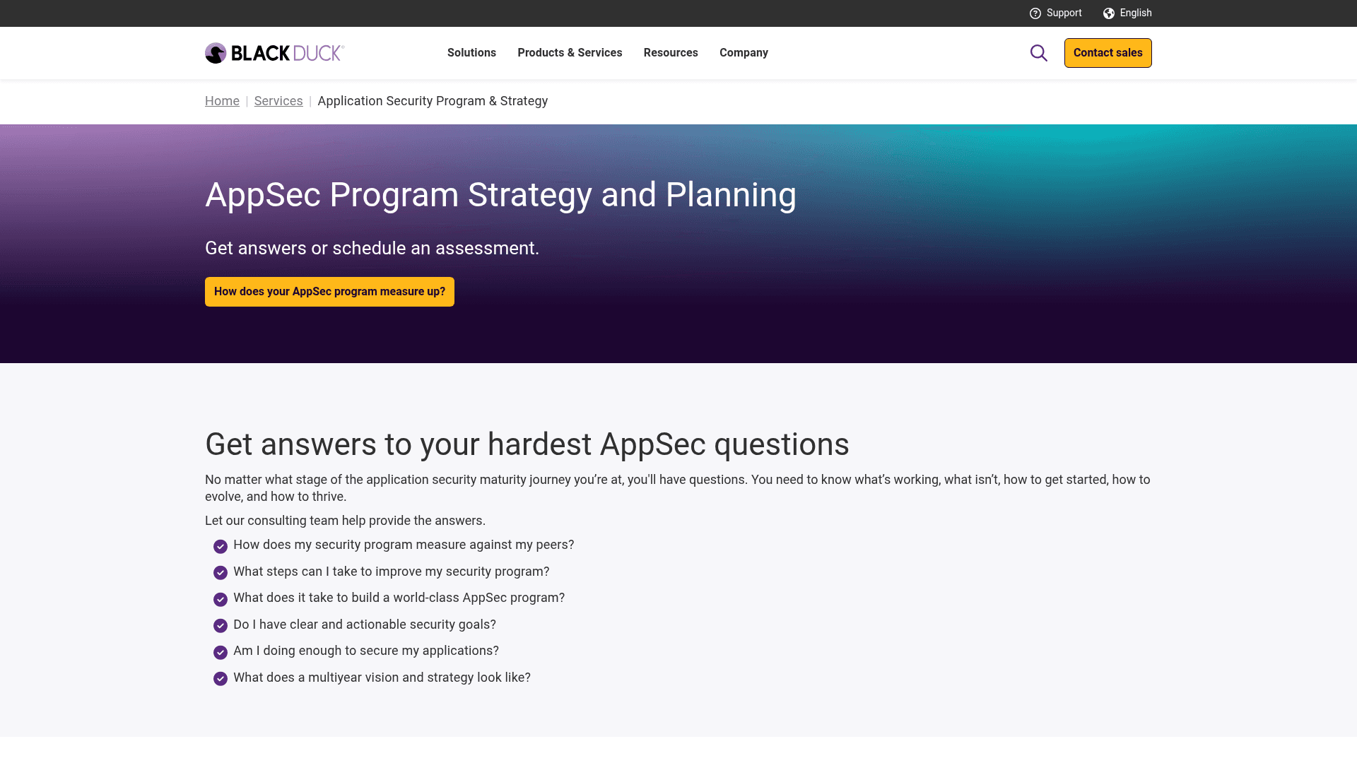 Cigital (now Synopsys) website screenshot