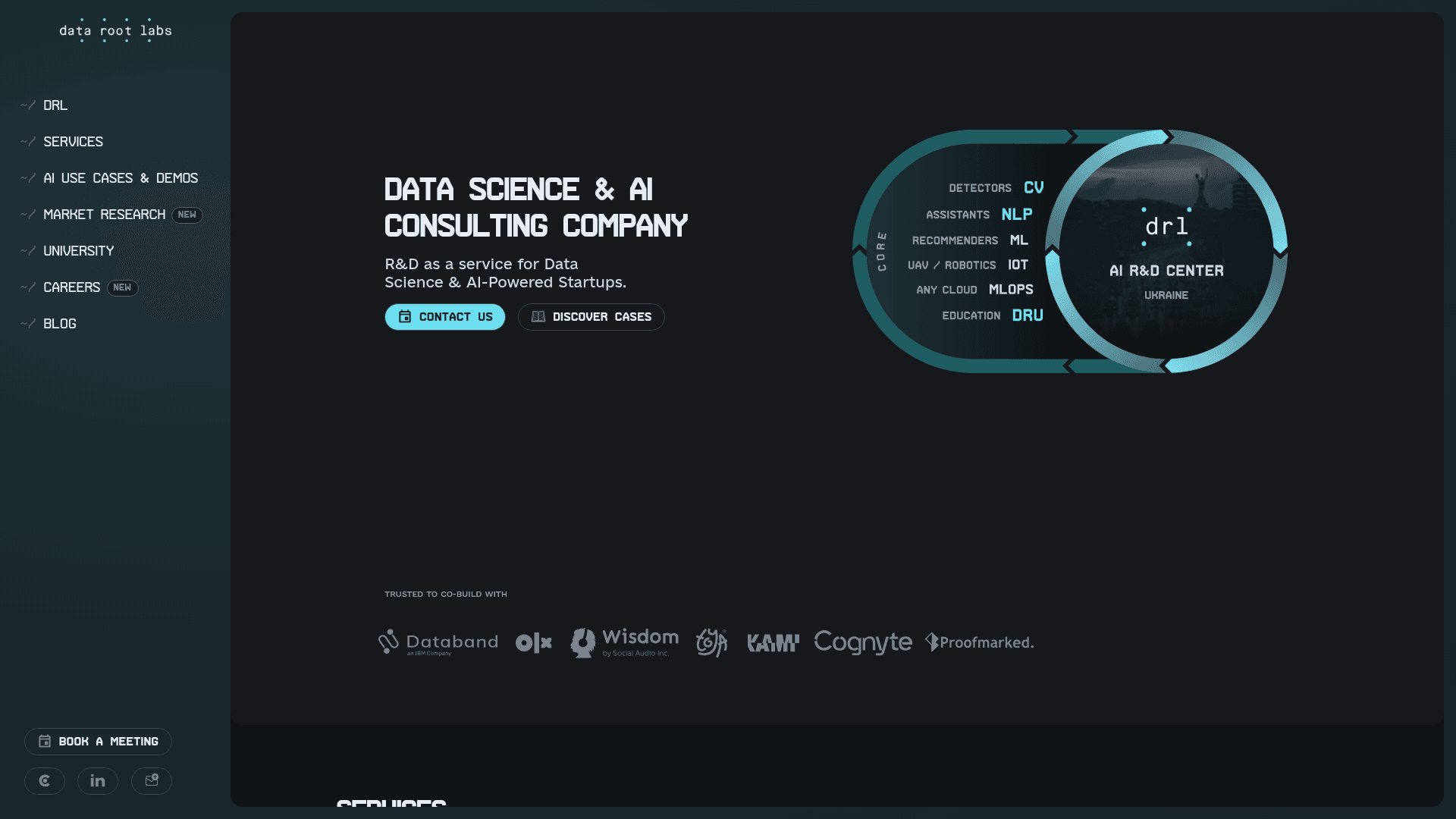 DataRoot Labs website screenshot