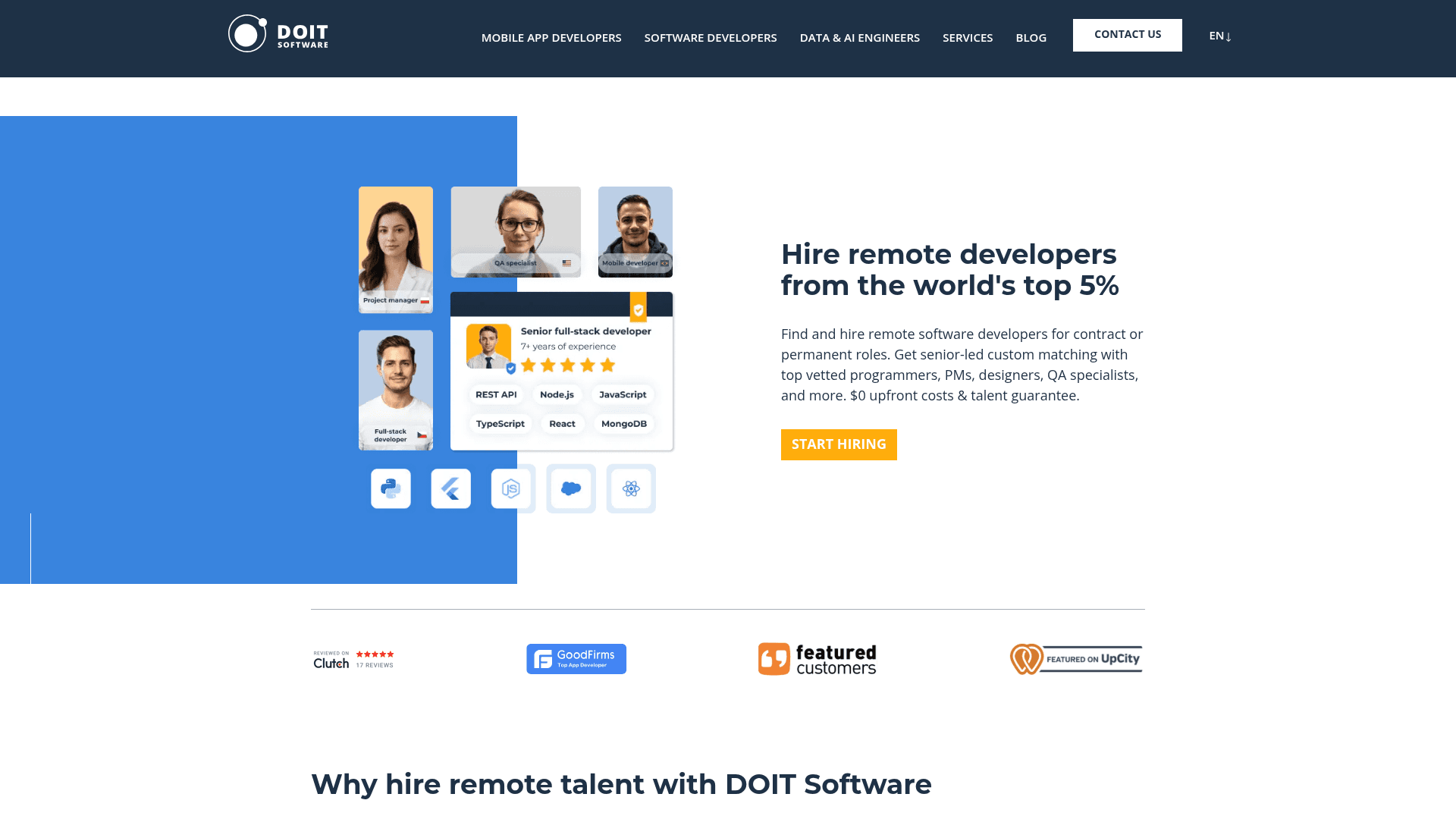 DoIT Software website screenshot