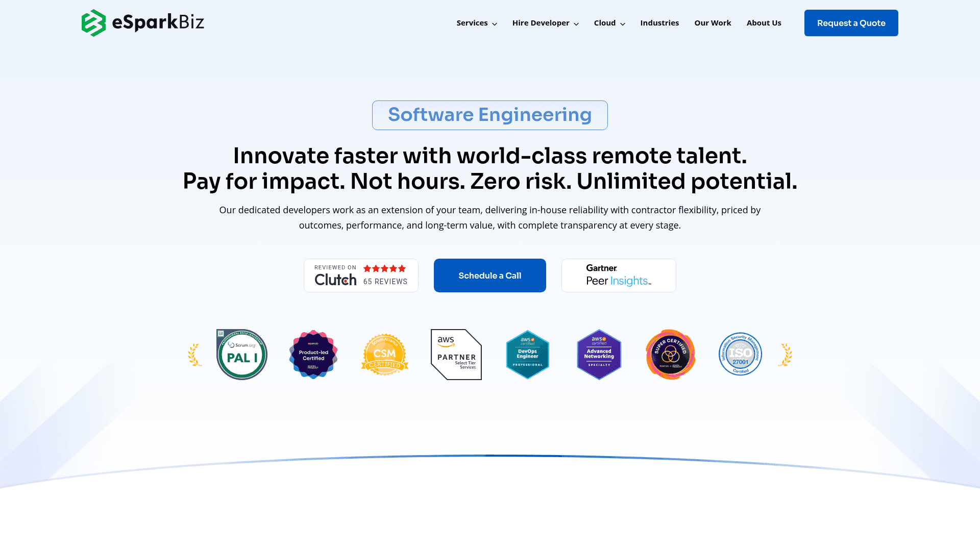 eSparkBiz website screenshot