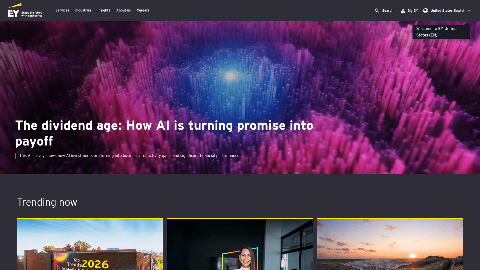 EY website screenshot