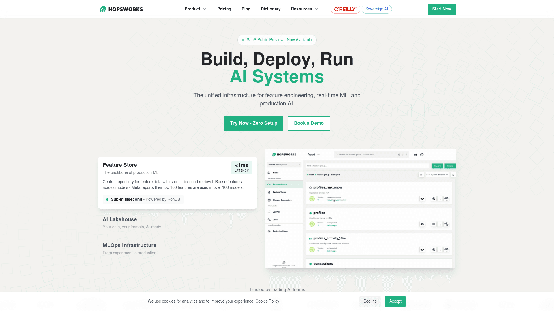 Hopsworks website screenshot