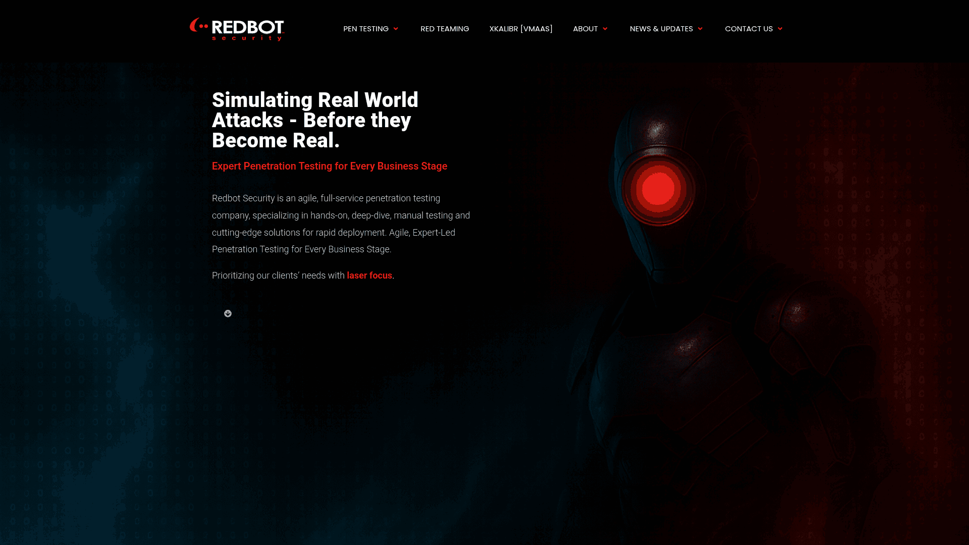 Redbot Security website screenshot