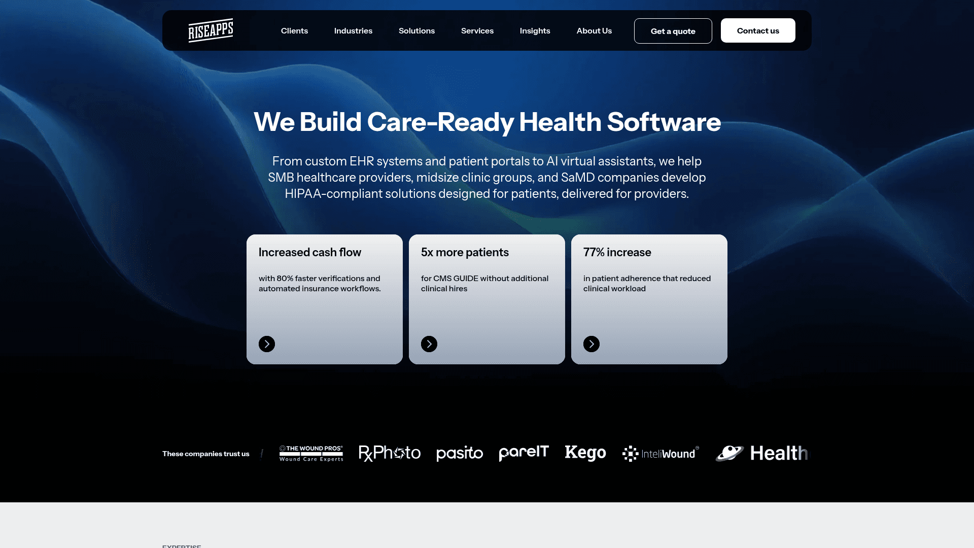Riseapps website screenshot