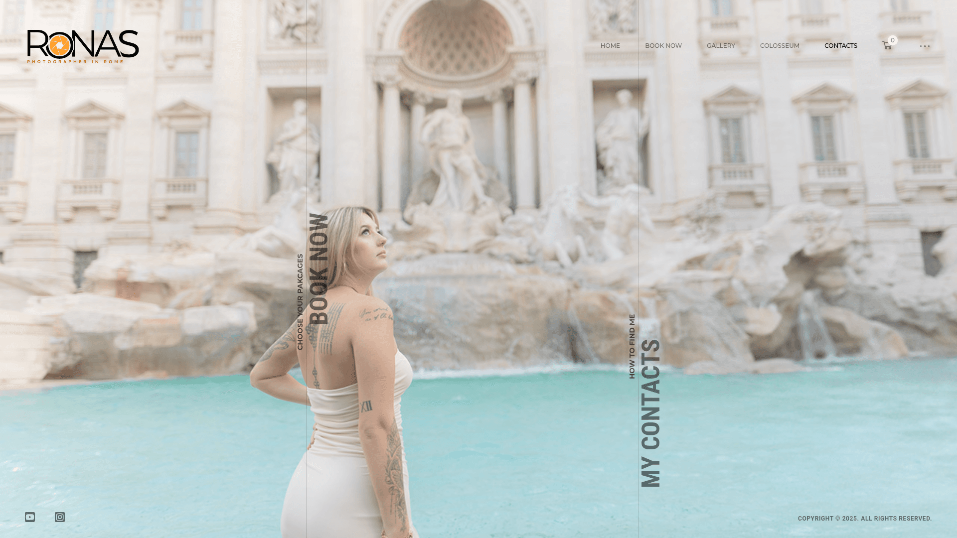 Ronas IT website screenshot