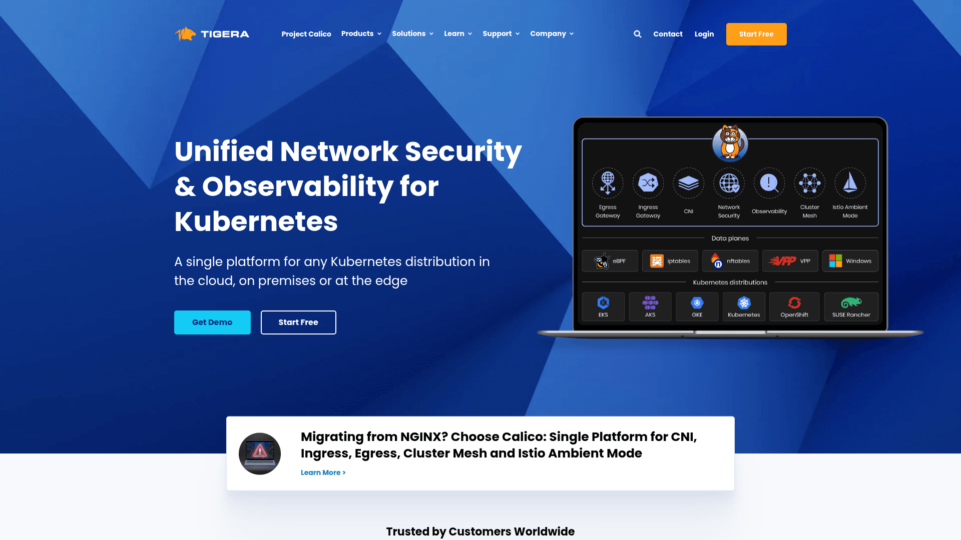 Tigera website screenshot